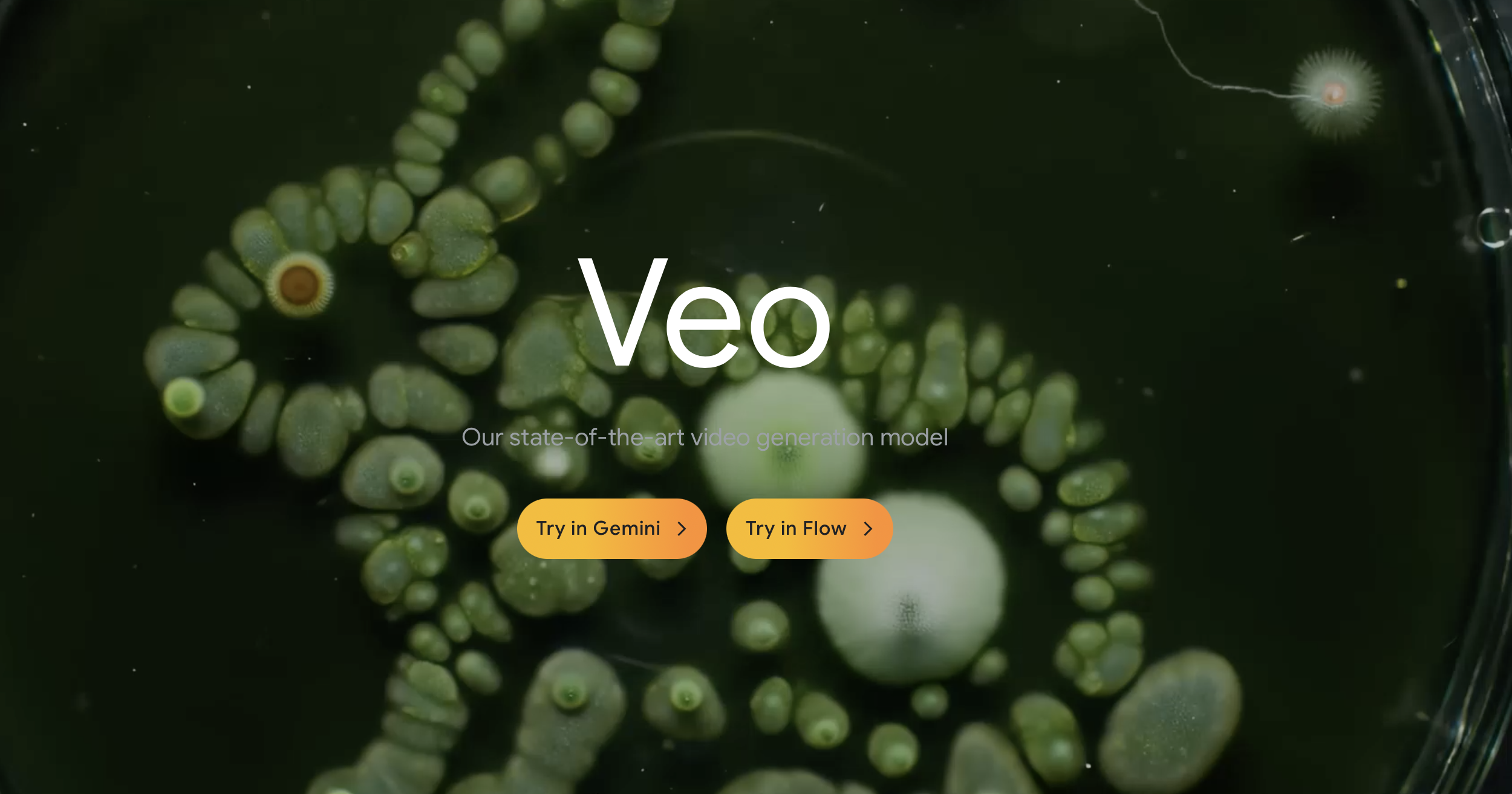Comparison of Veo Cam 3 and Argil AI avatars for branding